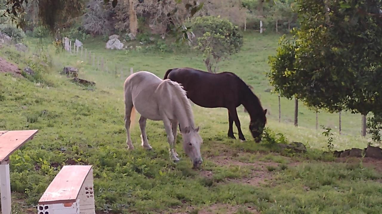Vila Casa & Chale Em Morro Redondo Rs Exteriér fotografie